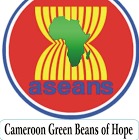 Aseans Cameroon Ltd