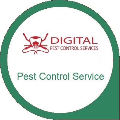Pest Control Service Dhaka