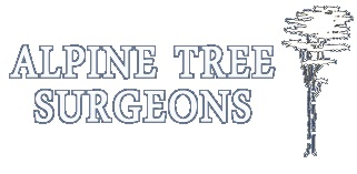 Alpine Tree Surgeons - Basingstoke
