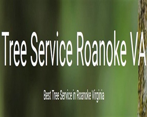 Tree Service Roanoke